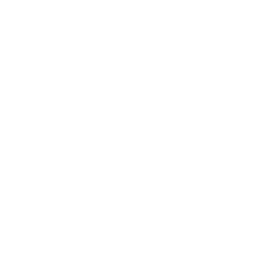 API Integration